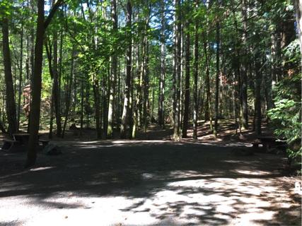 iOverlander Bamberton Provincial Park Campground