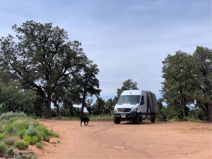 Gooseberry Mesa Dispersed Camping Reviews updated 2024