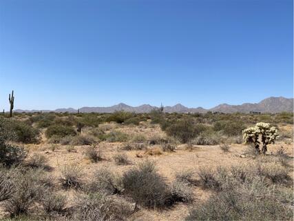 iOverlander | McDowell Mountain Regional Park - Ironwood Tent Sites