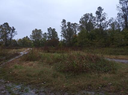 Discover Buzzard Beach Boat Ramp: A Complete Guide for Outdoor Enthusiasts